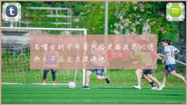 名嘴分析字母哥风格更接近恩比德热火不应全力追逐他
