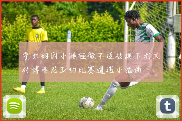 霍尔姆因小腿轻微不适被换下尤文对博洛尼亚的比赛遭遇小插曲